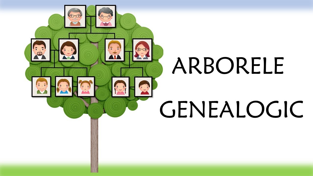 Arborele genealogic