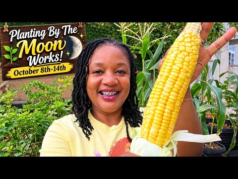 Successful Moon Planting: October 8-14, 2026 Gardening Tips