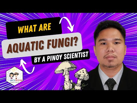 [AQUATIC MYCOLOGY] What is an Aquatic Fungus