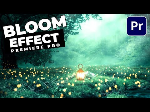 DOLLY ZOOM Vertigo Effect Tutorial In Premiere Pro