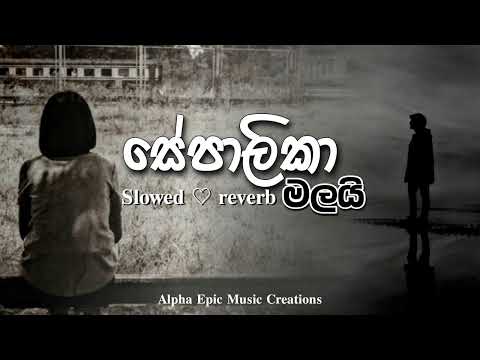 Sepalika Malai | (slowed x reverb)