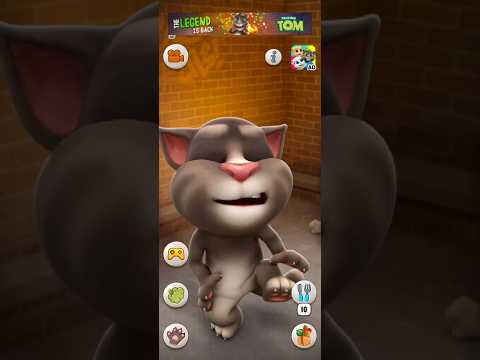 talking Tom cat 🐈😺 #shorts
