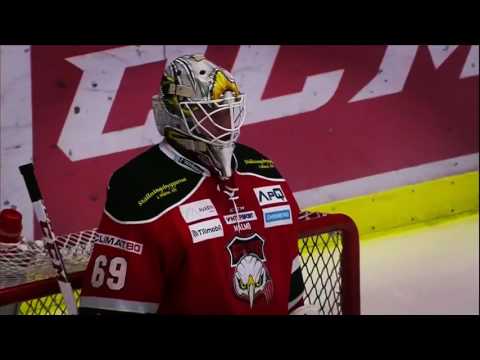 Malmö Redhawks Säsong  2016-2017