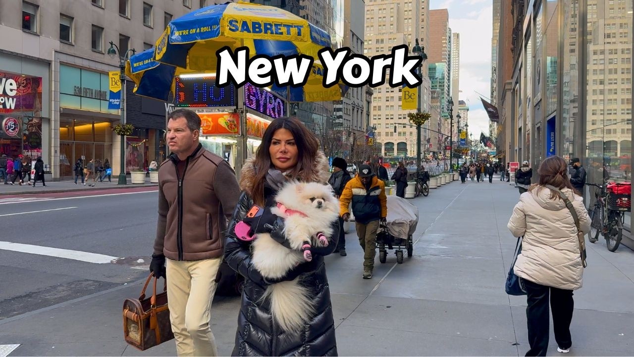 Hands Off New York City January 2026 Walking Tour