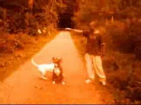 Baby Brown Ft. Dirrty (The Pitt) Dog - Du Hund