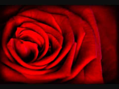 download lagu mp3 mp4 El Barrio Quireme, download mp3 El Barrio Quireme free download, download mp3 El Barrio Quireme