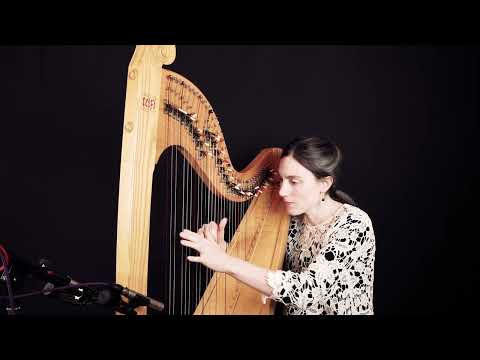 An Alarc'h - traditional Breton tune on the Celtic lever harp