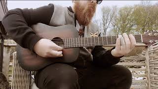 Video thumbnail for Harley Benton Delta Blues T, Slide Guitar by Redbeard Pipes