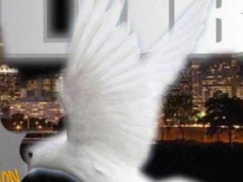 Comin Back ft Shona & P.Graves