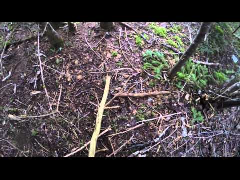 --SOLVED-- Knife Challenge 34 : how to sharpen for edge retention in chopping