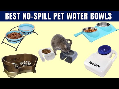 Best Spill-Proof Cat Water Bowls😻No-Spill Pet Water Bowl Reviews