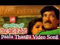 Paalu Thaagu Video Song Bhulokamlo Rambha Urvasi Menaka Movie Kashinath Uttara YOYO TV Music