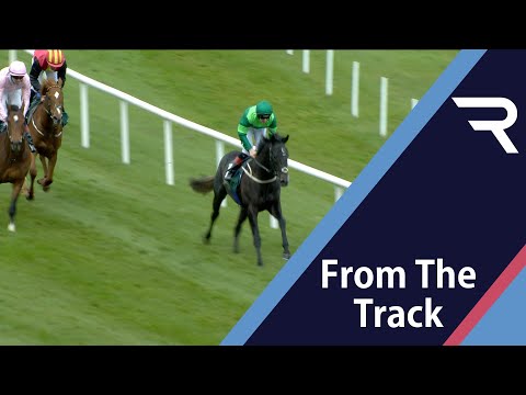 Classic contender? Hot favourite DR ZEMPF strikes in the 2,000 Guineas Trial at Leopardstown