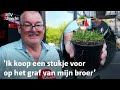 Oude FC Utrecht-grasmat gaat naar supporters | RTV Utrecht