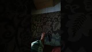 I video