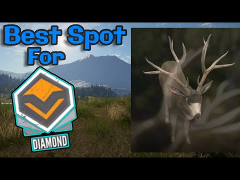 Best Spot To Find DIAMONDS