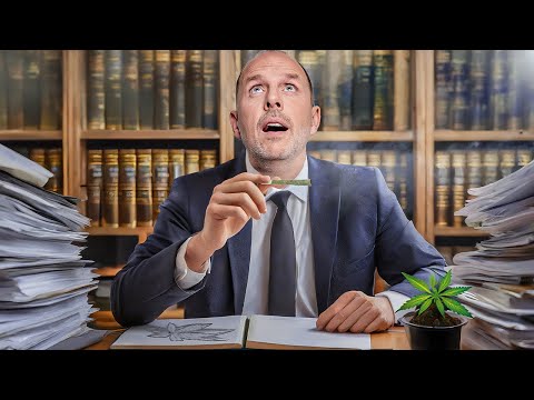 Video Thumbnail: Cannabis-UPDATE: Länder wollen Gesetz erst im Herbst - oder gar nicht