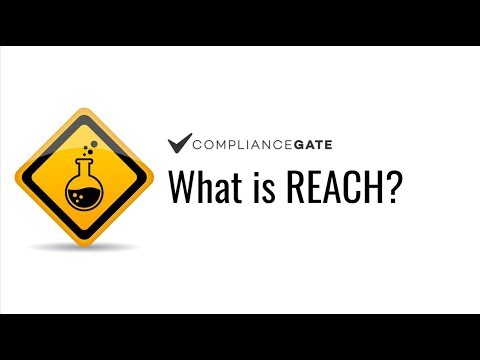 Who is responsible for compliance with REACH?