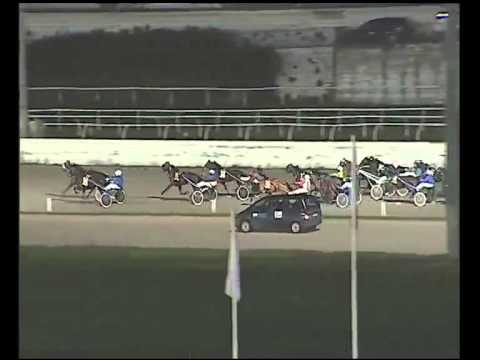 Trotto 22/01/2015 - 8° Corsa TRIS