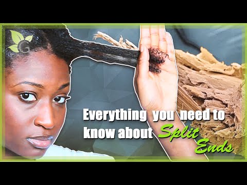 Everything you need to know about SPLIT ENDS