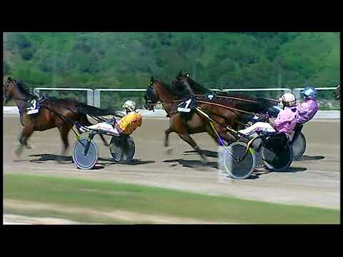 Napoli Trotto 08/05/2021 - 5ª corsa - GP Freccia d'Europa