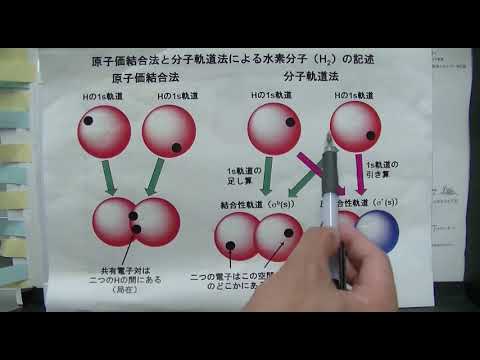 薬学科 青木 伸 教授