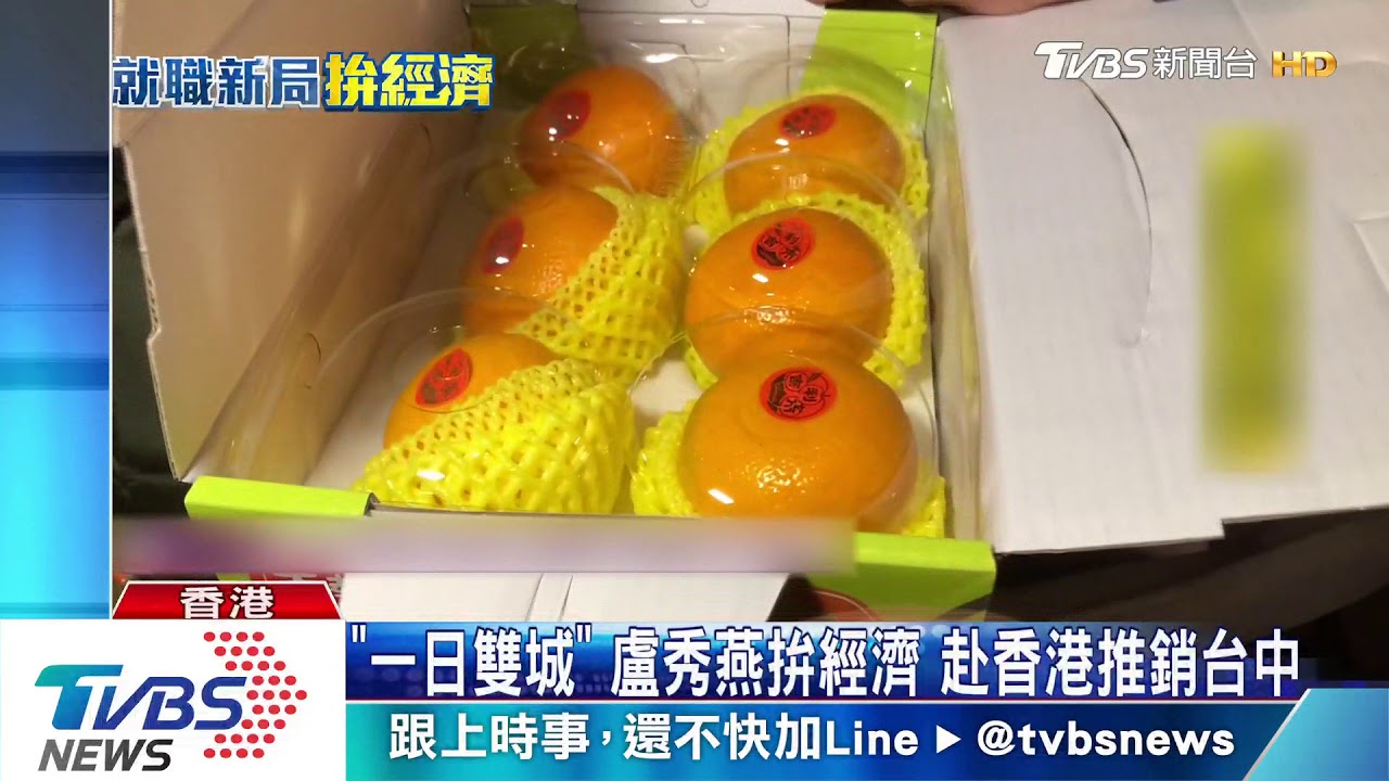 貨出去！　早出晚歸訪香港　盧秀燕：拚經濟不累