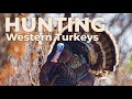 Hunting Western Turkeys With Beau Brooks