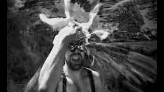 MISSMOSES - Chill and dance