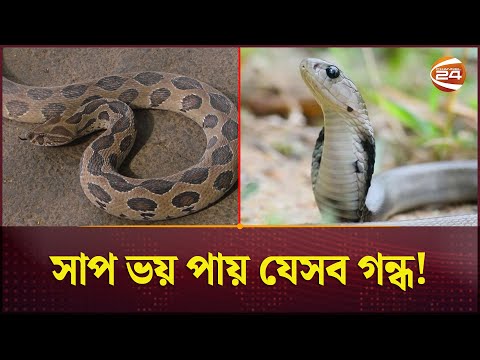 সাপ তাড়াবেন যেভাবে | Keep Away From Snake | Tips | Save Life | Channel 24