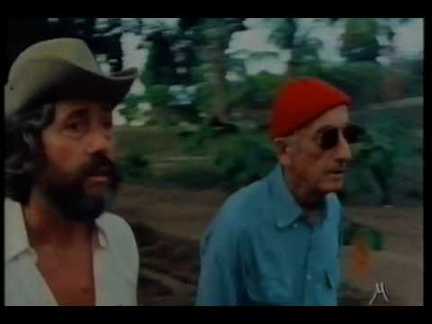 BIOLOGIA Jacques Cousteau progetto Amazzonia