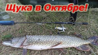 Лов щуки в октябре на спиннинг