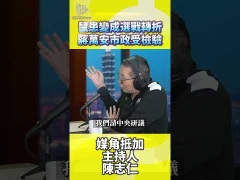台北鼠患為何成為蔣萬安市政考驗焦點