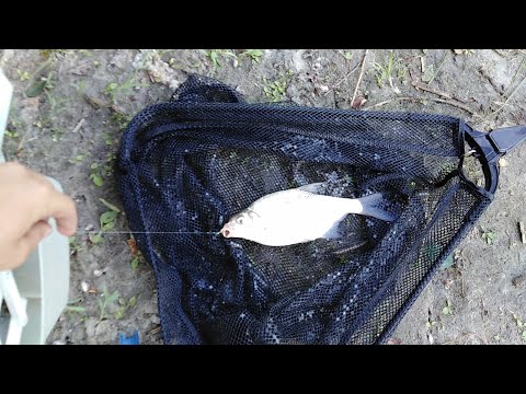 Рыбалка на Теплом канале и реке Аксай!!!