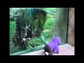 the glass wasn't strong enough..