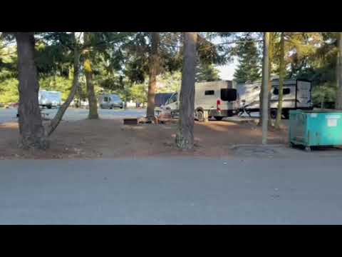upper level of forest campground