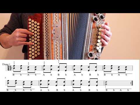 Learning the Styrian accordion using tablature