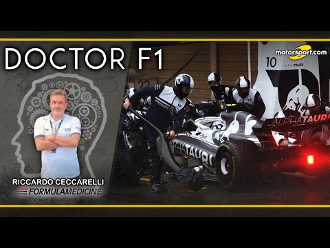 Video F1 | Ceccarelli: "AlphaTauri pit veloci col mental training" 