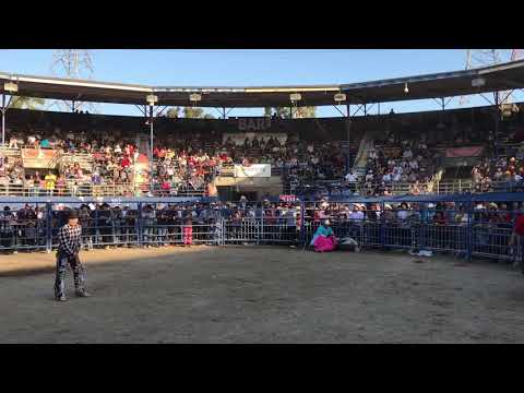 Necio de cuautla vs manicomio