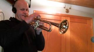 Gary Burton, Michael Brecker solo transcriptions on "Times Like These"