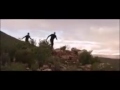 Estos Dos Locos Se Meten En Una Barriga De Elefante Y Mira Lo Que Pasa