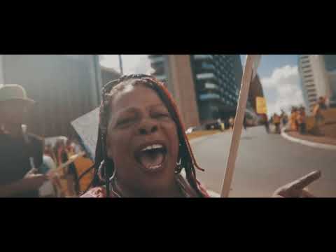 Rejão - pragas no plantio ( clipe)