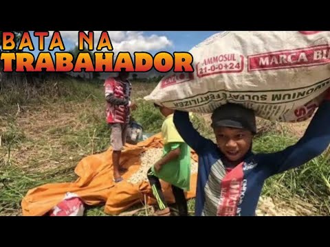 BATA PA, NAPABILIB AKO! GAMIT NAMIN ANG SINAUNANG HARVESTER