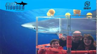 DIA 2 Expo Tiburon287