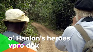 Auf der Suche nach Gorillas im Dschungel von Gabun (O'Hanlon's Heroes 3/8) | VPRO Dok
