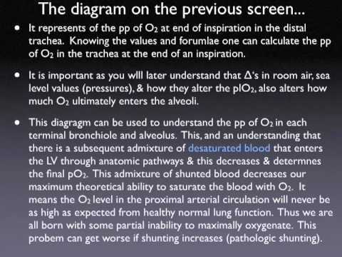 ABG PLUS © 1989 2011 Dwight Collman