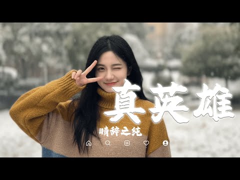 晴辞之纯 - 真英雄 (快刀斩乱麻)｜Qing Ci Zhi Chun - Zhen Ying Xiong『颠覆了天下 贪一夜浮夸，人生只不过 一场厮杀』抖音最火｜【动态歌词MV】