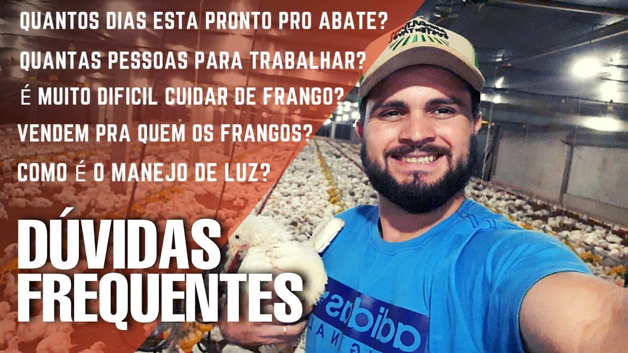 DÚVIDAS FREQUENTES SOBRE FRANGO DE CORTE E AVIÁRIOS DARK HOUSE