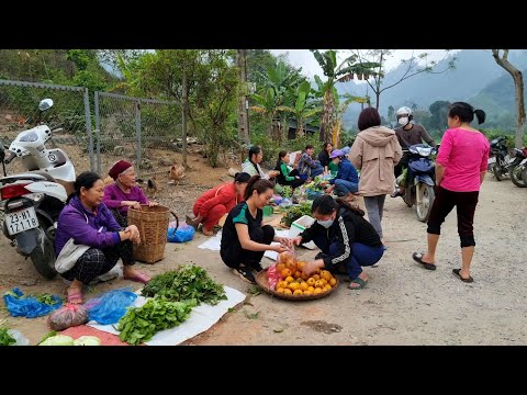 Harvest Fruit go market sell | Harvesting Bamboo Shoots & Preserving | Loc Thi Huong
