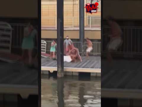 Montgomery River Brawl